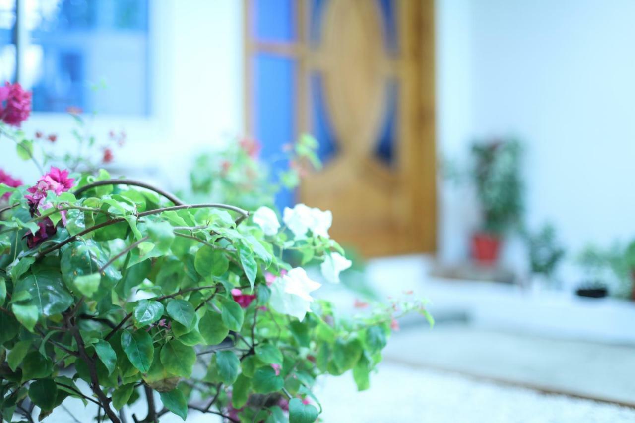 Moodhu Surf House Hotel ฮิมมาฟูชิ ภายนอก รูปภาพ